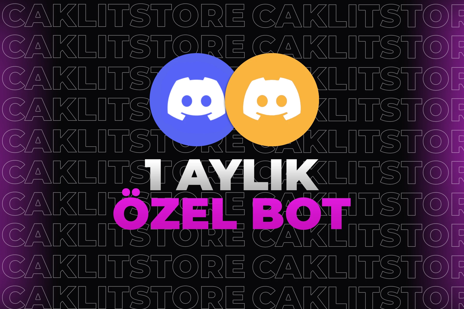 1 Aylık Sunucunuza Özel BOT